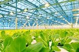 AI and Indoor Farming