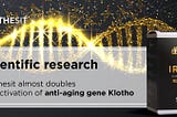Synthesit almost doubles the activation of anti-aging gene Klotho
