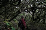 Why Boundaries Deepen Your Human Connections