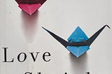 Love Shrinks: a memoir of a marriage counselor’s divorce