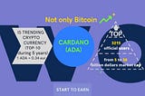 Discover New Coins