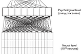 Journalism & Neuroscience