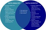 Comparing Data Scientist vs Data Analyst: Highlights and Career Paths