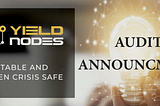 YieldNodes Annual Audit: Application & Important Information