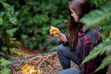 This is how you become a mushroom forager