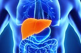 Liver Disease (Liver Disorders).