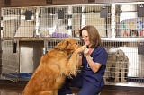 Are there enough Jobs in the Pet Care Sector?