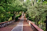 A reddish brick-paved pathway in a park with ashort wall on both sides and tried overhanging the walkway as I wonder, “why do I worry?”