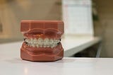 Denture model image: unsplash.com