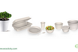 The Biodegradable Tableware Market: A Comprehensive Overview