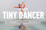 Project Tiny Dancer — Creating a Chatbot as a Resource Guide