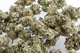 How do I know if it’s bad weed?How to distinguish bad weed from good weed | Goowonderland.com