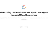 Fine-Tuning Your Multi-Layer Perceptron: Testing the Impact of Model Parameters