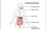 The micro-friends in our nasal cavity!