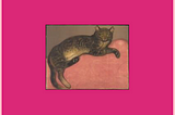 A pink rectangle with a small image thumbnail displayed inside it. The thumbnail shows a cat on a cushion.