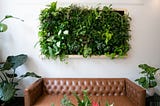 Using artificial plants as an ultimate home decor arsenal