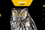 Exonum v.0.12 Is out: Simplified Bootstrapping and Improved Storage
