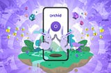 Orchid’s Privacy Network Launches