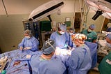 Observing Procedures at the UC Davis Veterinary Medical Teaching Hospital