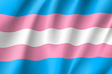 The transgender flag.