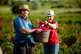 “We have the chance to restore the former glory of medicinal and aromatic plants in Moldova”