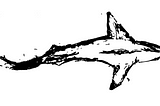 Black and white image of a bird’s eye view of a drawn shark