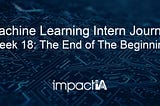 Machine Learning Intern Journal — The End of The Beginning