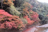 Japan Diaries : Arashiyama & Jingoji Temple