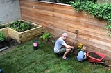 Is Pressure treated wood good for gardening?