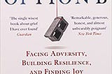 Book Review: Option B: facing adversity, building resilience, and finding joy