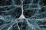 AI + UX: design for intelligent interfaces