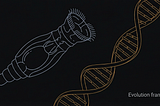 From Skill to Gene: Why AI Agents Need to Evolve Beyond the Tool Paradigm