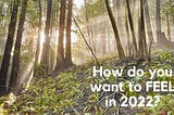 How Do You Want to Feel in 2022? An Invitation to Slow Down and Savor