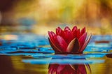 Empaths and the Sensitive
