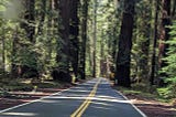 Mom, a Van Named Hope, and the Redwoods