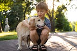 The Remarkable World of Assistance Dogs