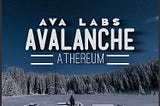 AVA Labs, Investry’yi Satın Aldı