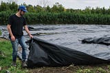 Protect Your Crop and Maximize its Value with Tarps