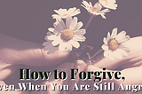 hands holding daisies How to Forgive Even When You are Still Angry