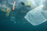 The Plastic Tide: Who’s to Blame?