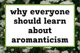 Why everyone should learn about aromanticism