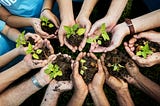 People’s hands cupping growing plants in a circle.