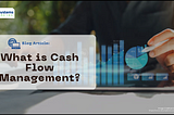 What is Cash Flow Management?