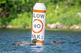 A white buoy with orange lines and black writing that says “Slow. No Wake.” In front of the buoy is an adult common loon facing its chick. A green shoreline is blurred in the background.