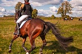 What You Should Know About Horseback Riding