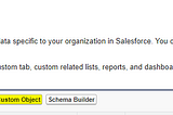 Creation of an Object in Salesforces