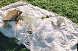 Image of a white blanket on grass with a wicker picnic basket.