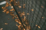 Autumn leaves on a tennis court