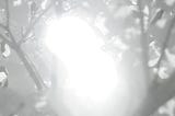 Mother of Eternal Maternity…Most Loving Power and Grace Be…