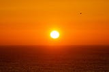 I am the SUN. I am here for YOU!